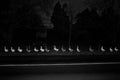 GEESE IN A ROW