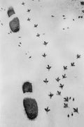 FOOTSTEPS IN PARIS