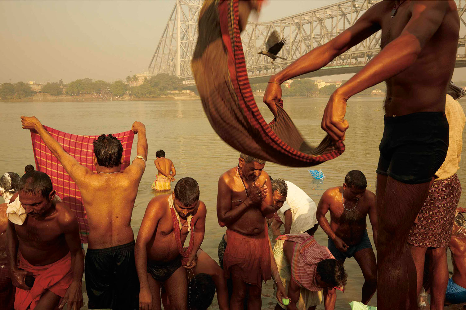 KOLKATA TOWELFLICK
