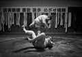 SUMO