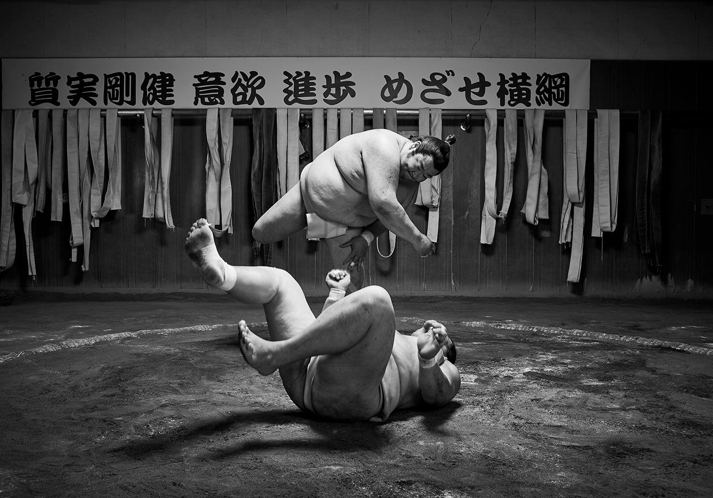 SUMO